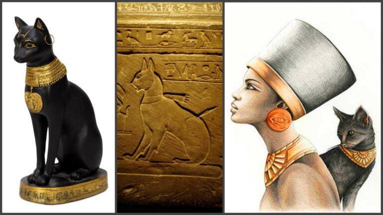 The History And Significance Of Cats In Ancient Egypt