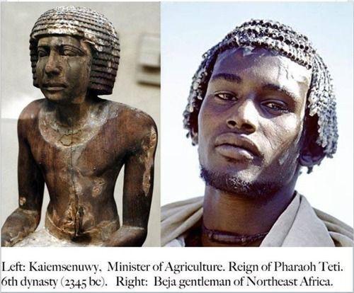 medier film blanding Ancient Egyptians Were Blacks - Kemet History | The African History