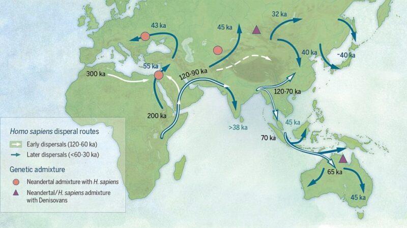 Humans began to migrate from cradle land Africa 100,000 years ago