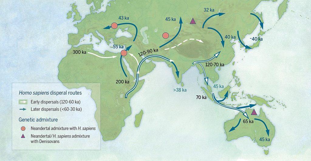 Humans began to migrate from cradle land Africa 100,000 years ago