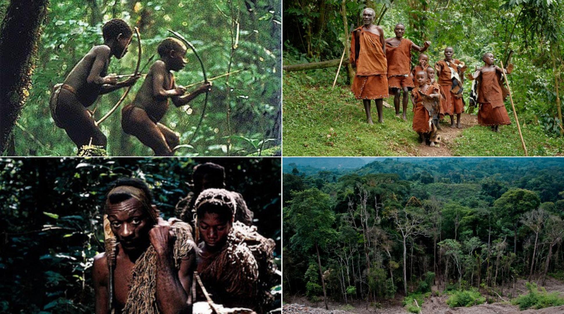 Meet Mbuti tribe, shortest people in Africa. They call Forest “Mother”, it provide all their needs