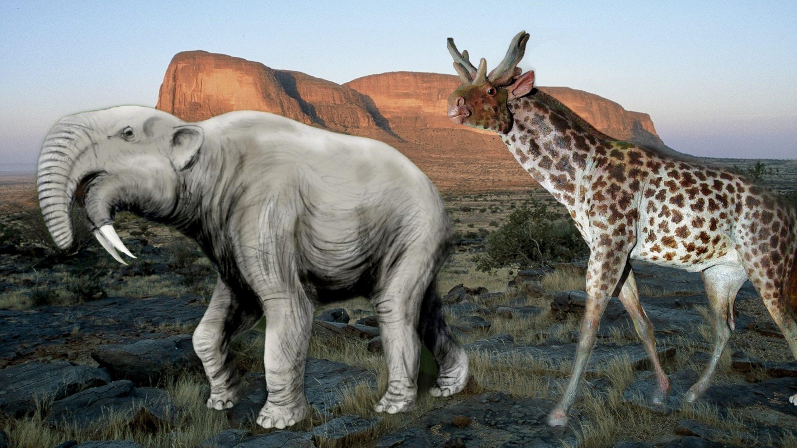 Dying out of ancient African animals was caused by climate change not humans